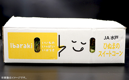 324 とうもろこし ドルチェドリーム 約5kg 11～13本 朝採れ バイカラー 黄 白 茨城 先行予約 2026年7月頃～発送予定