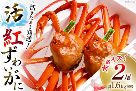 【能登半島 漁協直送 3月以降発送】 活 紅ズワイガニ 2尾（大サイズ）（計1.6kg前後） [JF西海 石川県 志賀町 AM4220]