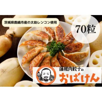 ふるさと納税 鹿嶋市 【毎月定期便】蓮根肉餃子のおばけん[70粒]全6回