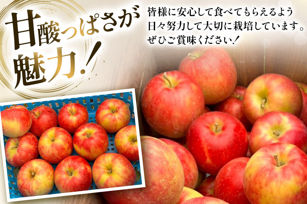 【26年10月発送】りんご 葉とらず ジョナゴールド【家庭用】約3kg カワムラファーム 青森県 弘前市 [果物 フルーツ 林檎 リンゴ くだもの]