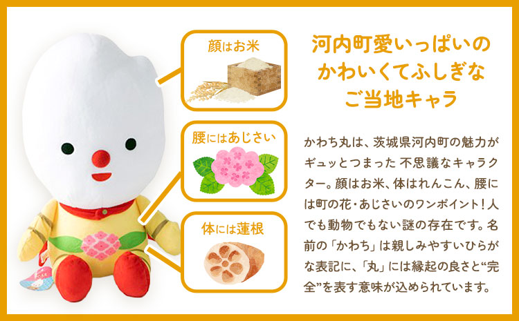河内町 イメージキャラクター かわち丸 ぬいぐるみ 2個セット(大1個、小1個) まちづくり河内株式会社かわち夢楽《30日以内に出荷予定(土日祝除く)》 茨城県 河内町 ぬいぐるみ かわち丸 ボールチ