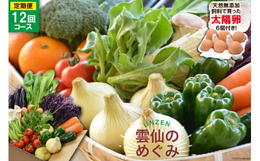 【12回毎月コース】雲仙のめぐみ 旬の野菜セット (S)【太陽卵6個付き】 8～10品目セット [長崎県農産品流通 長崎県 雲仙市 item1575] 野菜 定期 野菜セット フルーツ 果物 くだもの 卵 たまご