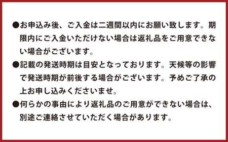 環境マイスターの不知火 良品 10kg （栽培期間中は無肥料・低農薬） 果物 くだもの フルーツ 不知火 しらぬい 柑橘 みかん 【2025年1月上旬-4月下旬迄順次発送予定】