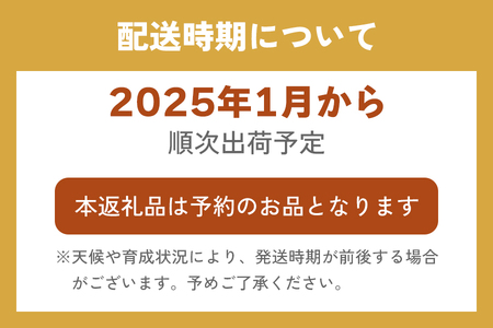 [2025年1月中旬より順次発送] 2種お楽しみ食べ比べセット「とちあいか＆スカイベリー」計300g×2パック｜とちあいか スカイベリー いちご イチゴ 苺 フルーツ 果実 スイーツ 日光市産 栃木県