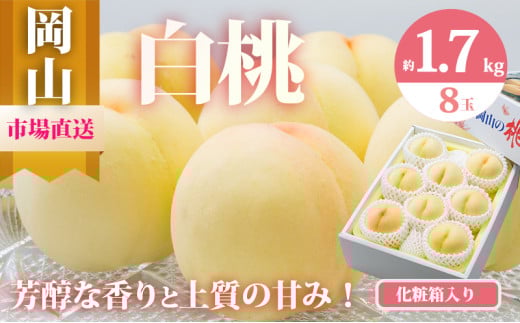 [№5615-0472]桃 2025年 先行予約 岡山 白桃 8玉（合計1.7kg以上）化粧箱入り もも モモ 岡山県産 国産 フルーツ 果物 ギフト