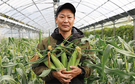 2025年12月～発送 早獲れ スイートコーン 8～12本 田中園芸 010-1797 とうもろこし 野菜 野菜