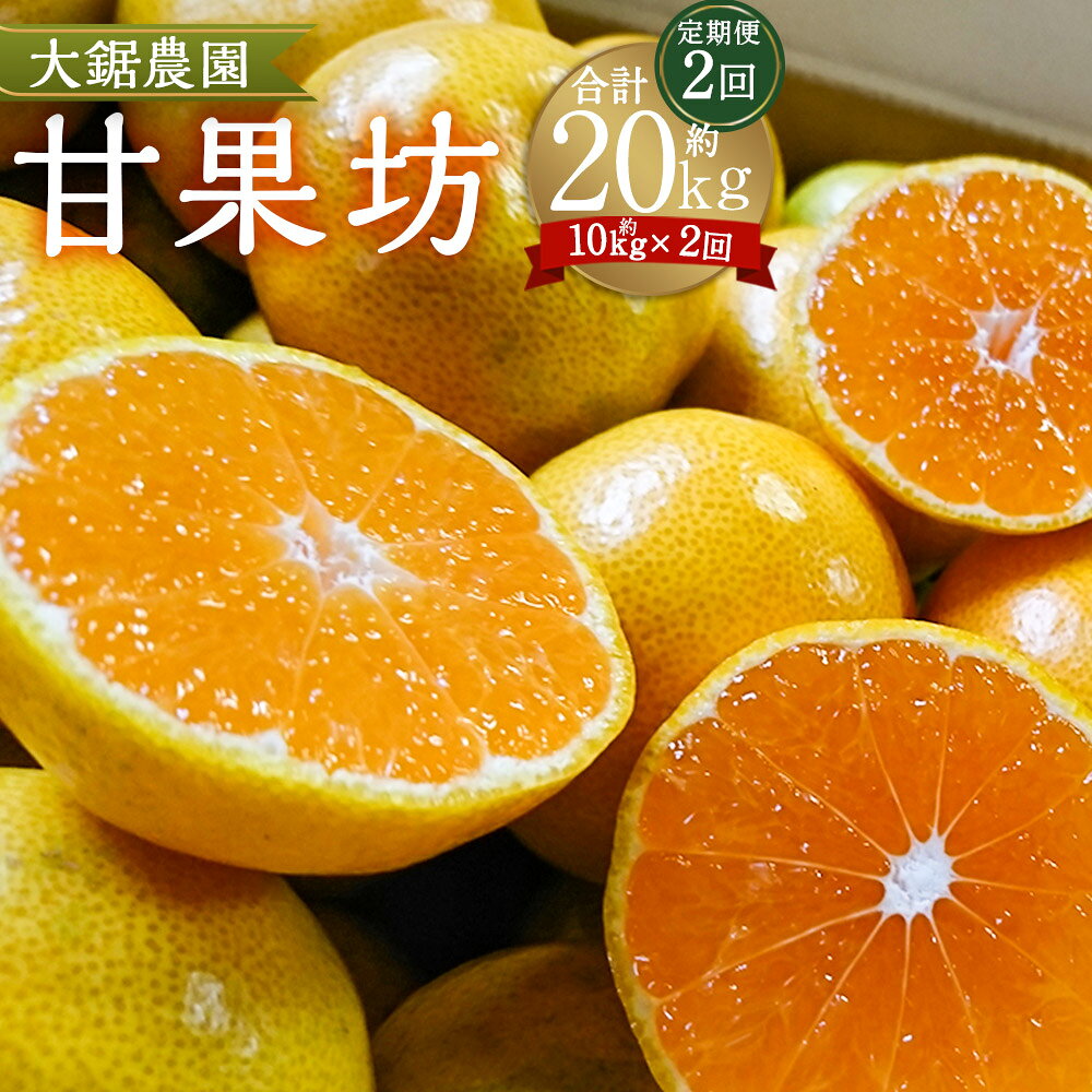 【ふるさと納税】大鋸農園の甘果坊 10kg【2回定期便】 P81x1