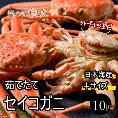 ふるさと納税 京丹後市 蟹の匠 魚政の内子外子が美味! 茹でたて セイコガニ(セコ蟹)(香箱ガニ)(こっぺ)中サイズ 10匹