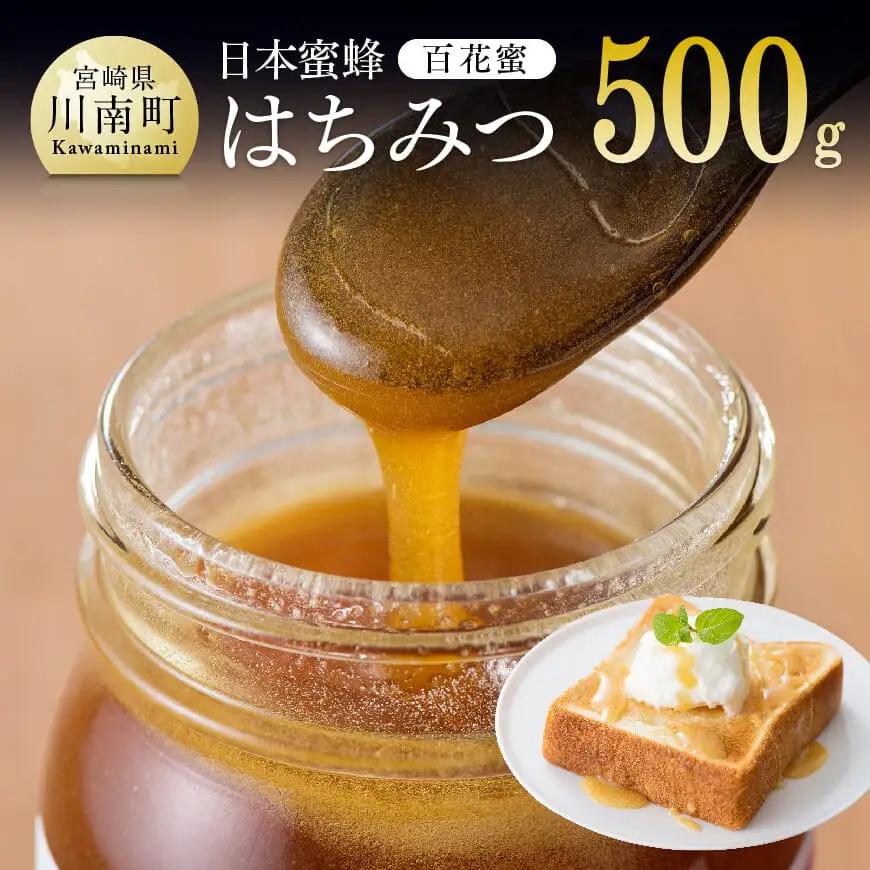 【数量限定】国産はちみつ（百花蜜）500g【蜂蜜 国産 はちみつ 九州産 宮崎県産 川南町産 ハチミツ】