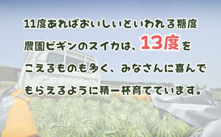 小玉スイカ 愛娘さくら  2玉 農園ビギン すいか すいか すいか