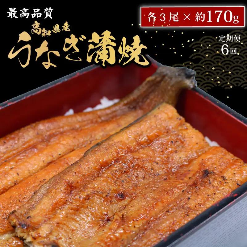 【6回定期便】 うなぎのかば焼き 約170g×3尾 ウナギのかば焼き