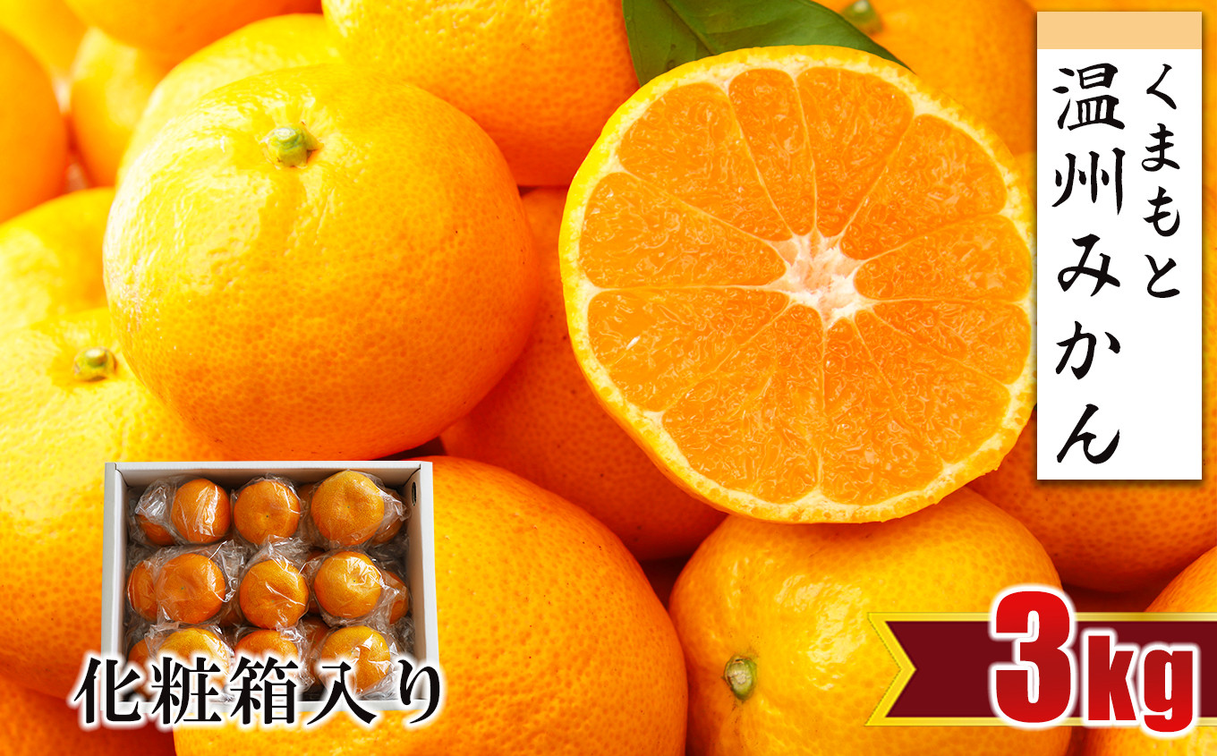 
                  【 贈答用 ・ 化粧箱 】 温州みかん 約3kg | フルーツ 果物 くだもの 柑橘 ミカン みかん 温州ミカン ギフト 熊本県 玉名市
                