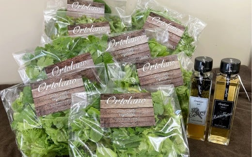 【Ortolano】ファーストクラスのサラダ＆セロリドレッシングセット S-2 サラダ ドレッシング 詰め合わせ セット 野菜 岡山県 倉敷市