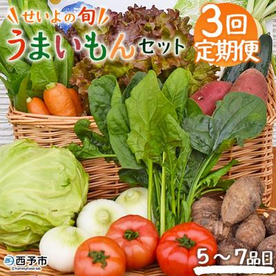 ふるさと納税 西予市 <せいよのうまいもんセット 3回定期便> 西予市産 愛媛県産 国産 旬 季節の野菜 やさい