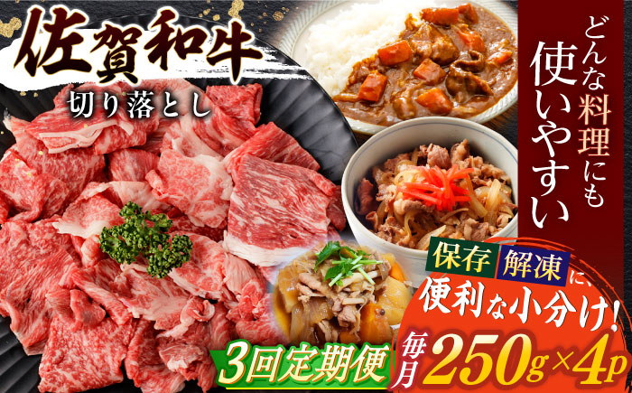 【3回定期便】佐賀和牛 切り落とし 計1kg(250g×4p) / 佐賀和牛 佐賀県産黒毛和牛 牛肉【一ノ瀬畜産】 [NAC165]