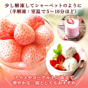 【訳あり】冷凍いちご 白いちご 1kg入り 冷凍 フローズン 果物 デザート イチゴ 苺