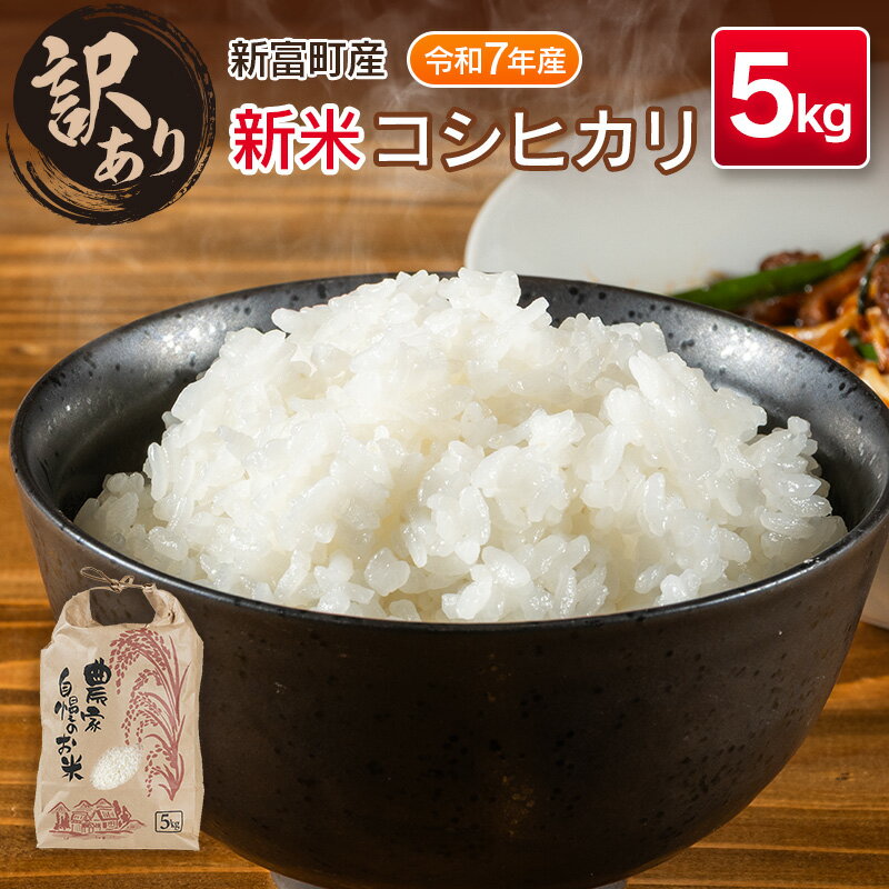 【ふるさと納税】＜訳あり＞令和7年産　新米コシヒカリ5kg 宮崎県新富町産