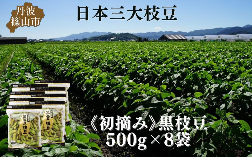 
                  秋の味覚「丹波黒枝豆」  フレッシュな甘み・500g×8袋　初摘み 【2026年10月6日頃～13日頃発送予定】　プレミアム枝豆 期間限定 黒枝豆 えだまめ エダマメ お取り寄せグルメ 高級 特産品 名産品 おつまみ おうち居酒屋
                