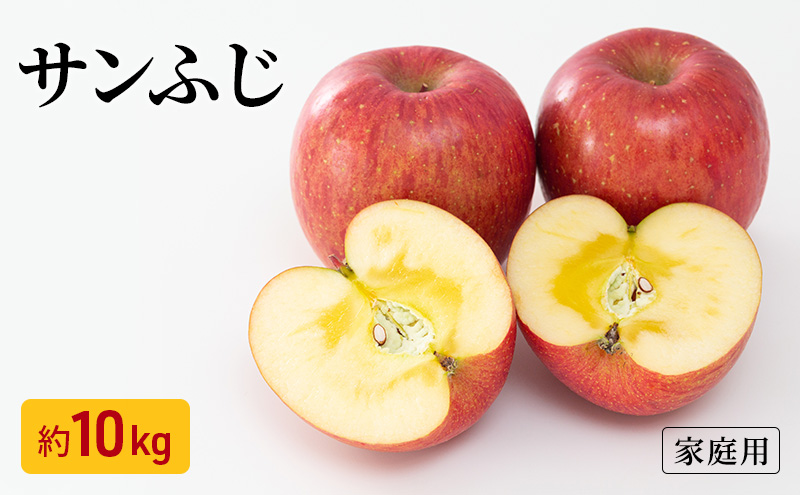 りんご サンふじ 家庭用 約10kg フルーツ 果物 甘い 訳あり おいしい 林檎 リンゴ