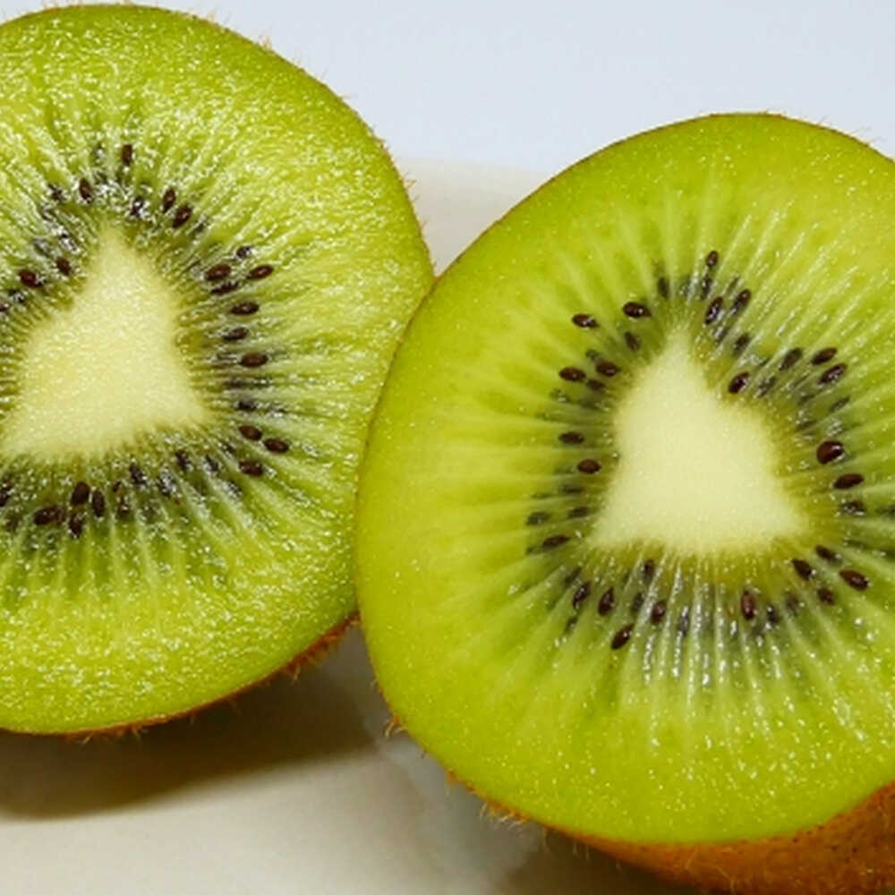 【ふるさと納税】【2026年発送分 先行予約】キウイフルーツ3.6kg / 佐賀県 / 一般社団法人龍乃[41ANAC012]