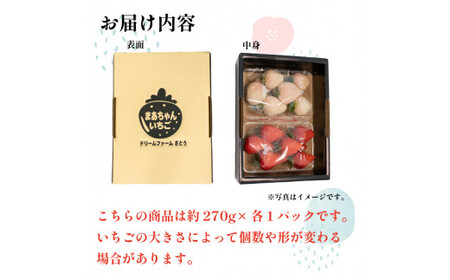 紅白 いちご ゆめのか 500g 以上 2パック 白いちご 果物 フルーツ 大粒 ストロベリー スイーツ 先行予約 阿波市 徳島県