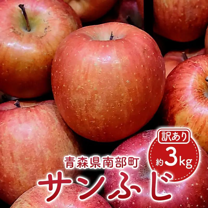 訳あり サンふじ 約3kg （9～12玉）【村井青果】 青森県産 りんご リンゴ 林檎 アップル フルーツ 果物 ご家庭用 規格外 旬 フルーツ 三戸 南部町 F21U-723