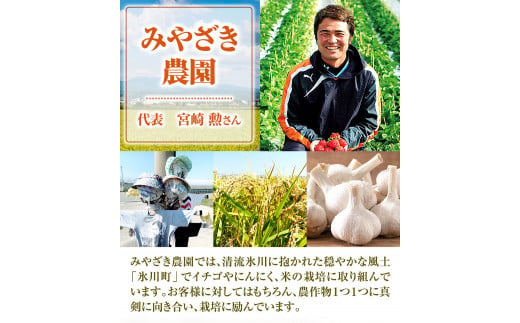 乾燥にんにく 約1kg みやざき農園《6月下旬-10月末頃出荷》 にんにく ニンニク 国産 乾燥にんにく ガーリック---sh_miyafarm_30d_23_9000_1kg---