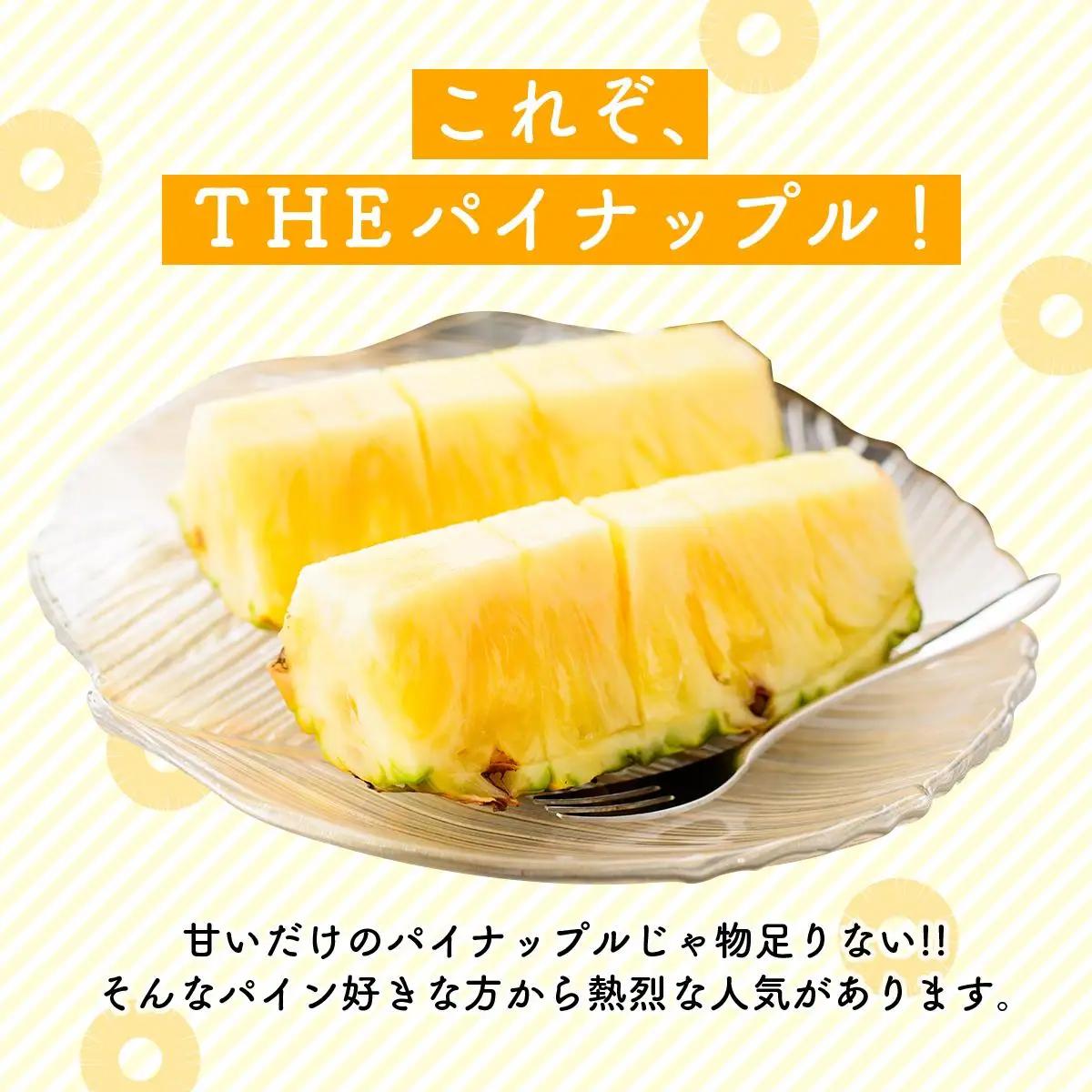 【2027年先行予約】島パイン (ハワイ種) 約2.5kg