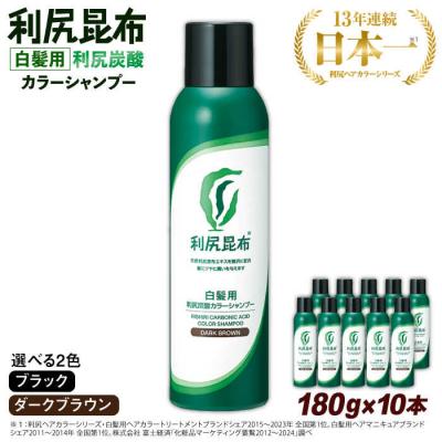 ふるさと納税 糸島市 【10本入】[白髪用]利尻炭酸カラーシャンプー 株式会社ピュール[AZA047]