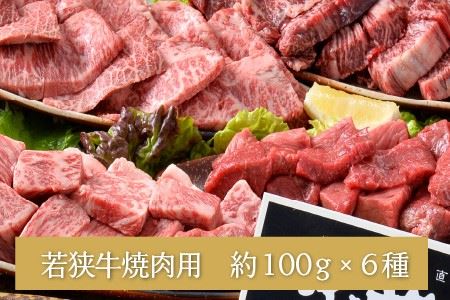 若狭牛焼肉 特上カルビ六種 盛り合わせ 計600g【C-1851】