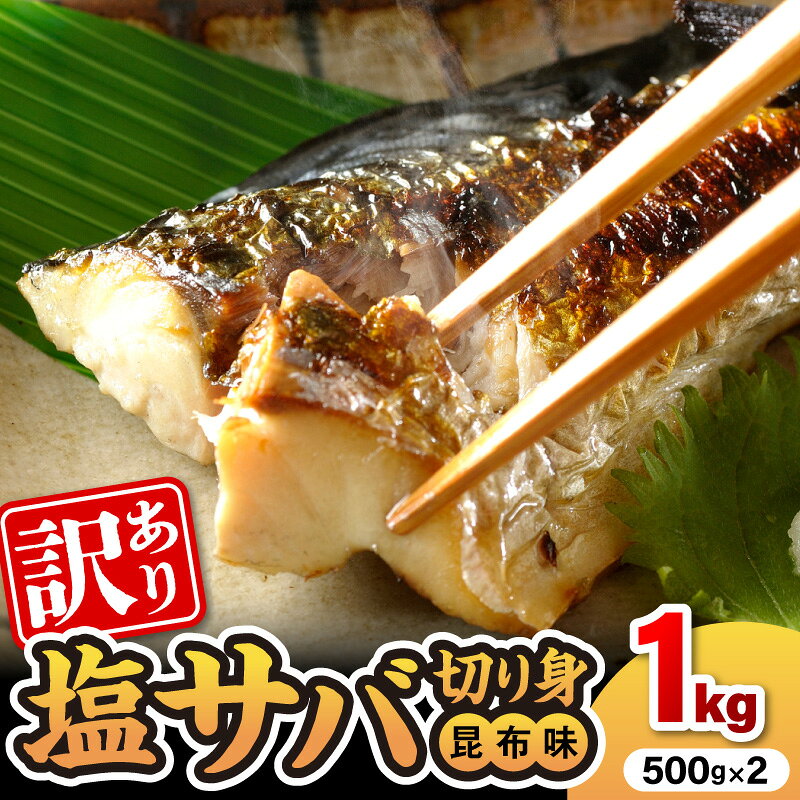 【ふるさと納税】塩サバ 切り身 昆布味 500g × 2 真空パック セット 訳あり さば 冷凍 便利 おかず おつまみ 酒の肴 焼き魚 魚 魚介類 水産加工品 海の幸 海産物 食品 お取り寄せ お取り寄せグルメ 宮崎県 延岡市 送料無料