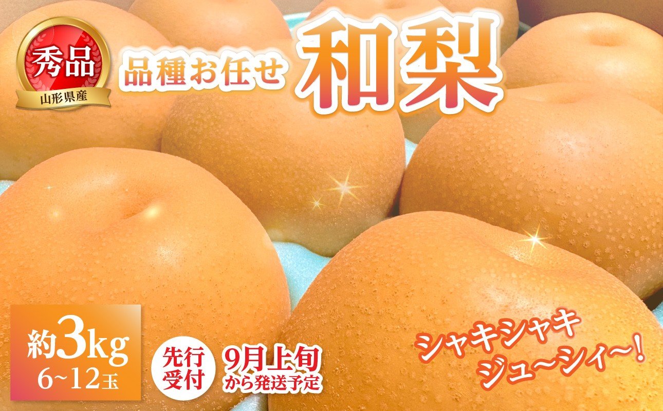 
                  《先行受付》★山形産和梨（品種お任せ）★約3kg(6～12玉程度)秀品【2026年9月頃～順次発送予定】 【063-015】
                