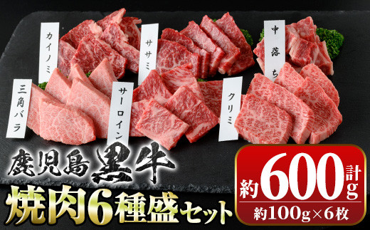 
B01033 鹿児島黒牛 食べ比べ焼肉6種盛(計約600g・各100g×6種)【新村畜産】
