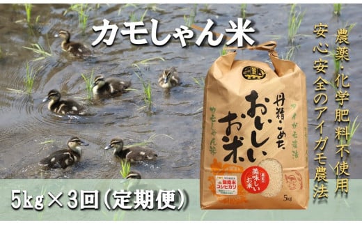 【3回定期便】コシヒカリ （精米）カモしゃん米5kg 【 アイガモ あいがも 合鴨 かも カモ コシヒカリ お米 農家直送 無農薬 化学肥料不使用 精米 安心 安全 新米 令和7年度産 D-53】