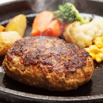 【発送月固定定期便】本格調理済ハンバーグ20食(ソース付き)(岡垣町)全4回【配送不可地域：離島】【4005507】