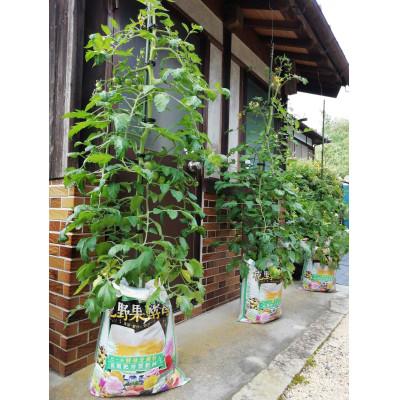 ふるさと納税 伊賀市 花野果酵母　ビール酵母分解入り　花と野菜の土　80リットル(20L×4袋) |  | 02