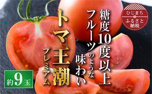 
            2026年1月下旬から順次発送＜糖度10度以上＞高糖度トマト 「トマ王 潮プレミアム」約9玉～【1087104】
          