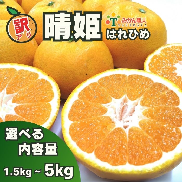 【ふるさと納税】 訳あり 晴姫 はれひめ 1.5kg 3kg 5kg かんきつ 柑橘 ふるさと納税 みかん ふるさと納税 訳あり 傷 規格外 柑橘 果物 フルーツ 愛媛県 愛南町 ) みかん職人武田屋