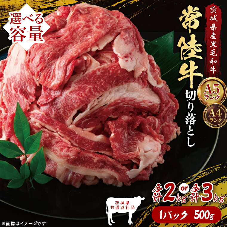 【ふるさと納税】【選べる内容量】【茨城県共通返礼品】常陸牛切り落とし2kg・3kg｜ブランド牛 銘柄牛 和牛 黒毛和牛 国産 A5・A4ランク 等級 お肉 牛肉 牛丼 すき焼き 炒め物 小分け 茨城県 大子町（DD014）