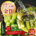 【ふるさと納税】【全2回定期便】TOMOEデラウェア 白ワイン やや辛口 750ml 1本 白 ワイン 受賞 ギフト 醸造 おすすめ 三次市 / 広島三次ワイナリー[APAZ049]