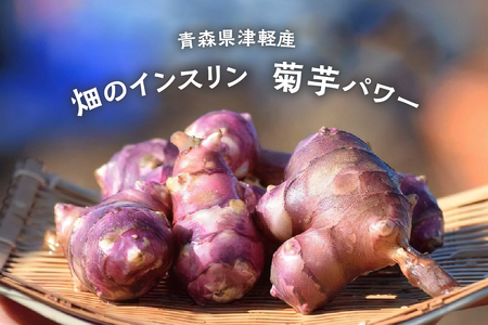 菊芋　パウダー 50g 粉末 菊芋パウダー お試し イヌリン 【 きくいも 赤菊芋 キクイモ 五所川原 イヌリン 】 