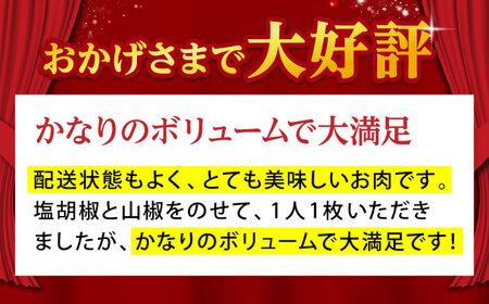 【全6回定期便】佐賀牛 A5 サーロインステーキ（300g×2枚） HAD067 ステーキ