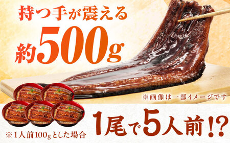 【新登場】【1尾約500g】超特大うなぎ蒲焼×3尾　広川町 / 株式会社イールファクトリー[AFBS033]