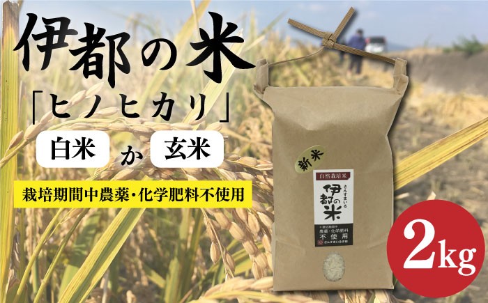 
                  【令和7年産】伊都の米 （ ヒノヒカリ ） 2kg 糸島市 / 伊都福祉サービス協会 [APL001] 米 白米 玄米
                