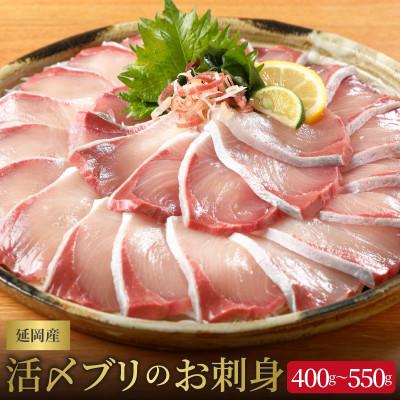 ふるさと納税 延岡市 延岡産活〆ブリのお刺身400g〜550g