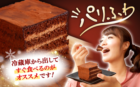 チョコレート ケーキ 2個  CAM060 チョコレーケーキ