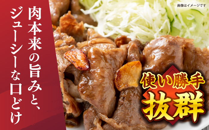 【A4〜A5】 長崎和牛 切り落とし 約1kg（500g×2パック）＜株式会社MEAT PLUS＞ [CFT025] 国産 和牛 牛肉 切り落とし きりおとし