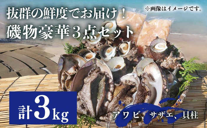 
                  磯物豪華3点セット（黒アワビ/サザエ/アコヤ貝貝柱）《壱岐市》【丸和水産】[JCJ008] アワビ あわび 鮑 awabi 黒アワビ 黒あわび 黒鮑 さざえ サザエ sazae 貝 貝柱 アコヤ貝 kaibashira 刺身 刺し身 お刺身 冷蔵 生 鮮魚 直送 バター焼き ステーキ つぼ焼き 天ぷら フライ かき揚げ 炊き込みご飯 長崎産 壱岐産 90000円 90000
                