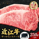 【ふるさと納税】 近江牛 サーロイン ステーキ 250g×2枚 （贈答用黒箱） 牛肉 美味しい ブランド牛 高級 人気 国産 楽天 寄付 返礼品 お歳暮 ギフト プレゼント お祝い 贈り物 ふるさと納税 近江 東近江 F-G06 いろは精肉店