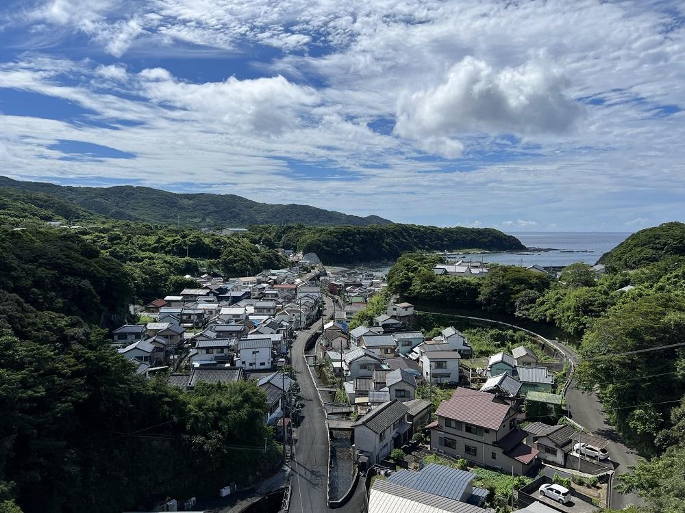 【令和7年10月発送】うつぼの切り身（冷凍300g×２袋）から揚げ 天ぷら おつまみ 惣菜 フライ【R00471】